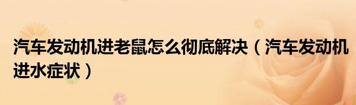 汽车发动机进老鼠怎么彻底解决（汽车发动机进水症状）