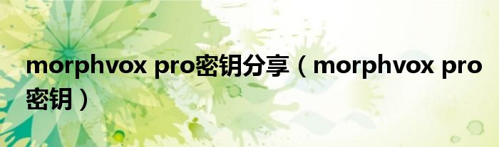 morphvox pro密钥分享（morphvox pro密钥）