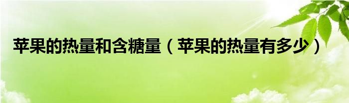 苹果的热量和含糖量（苹果的热量有多少）