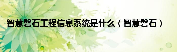 智慧磐石工程信息系统是什么（智慧磐石）