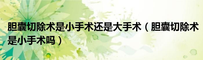 胆囊切除术是小手术还是大手术（胆囊切除术是小手术吗）