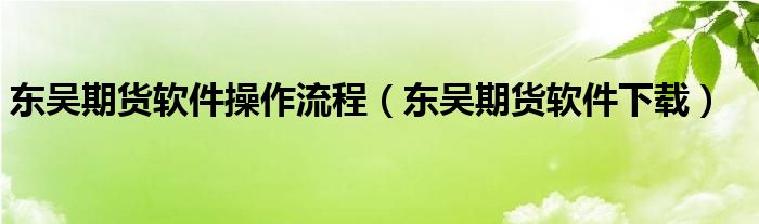 东吴期货软件操作流程（东吴期货软件下载）