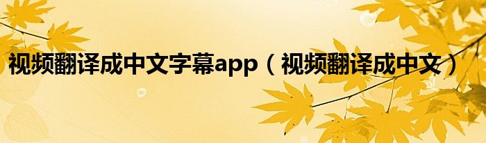 视频翻译成中文字幕app（视频翻译成中文）