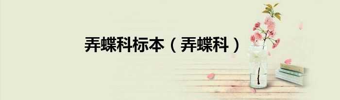 弄蝶科标本（弄蝶科）