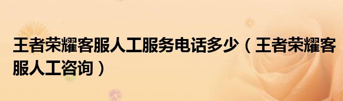 王者荣耀客服人工服务电话多少（王者荣耀客服人工咨询）