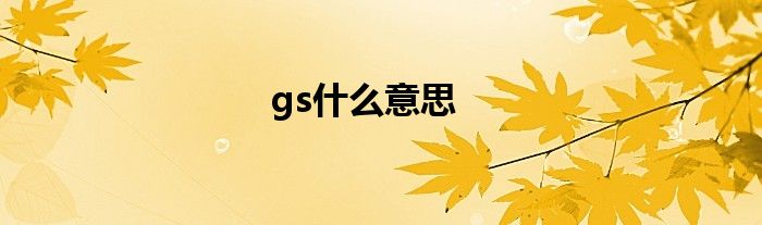 gs什么意思