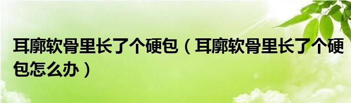 耳廓软骨里长了个硬包（耳廓软骨里长了个硬包怎么办）