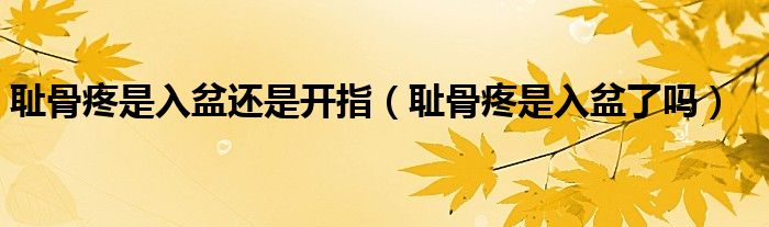 耻骨疼是入盆还是开指（耻骨疼是入盆了吗）