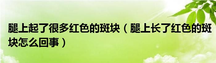 腿上起了很多红色的斑块（腿上长了红色的斑块怎么回事）