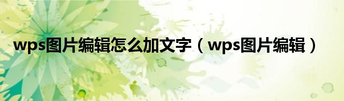 wps图片编辑怎么加文字（wps图片编辑）