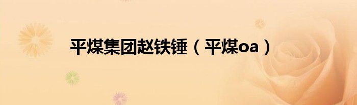 平煤集团赵铁锤（平煤oa）