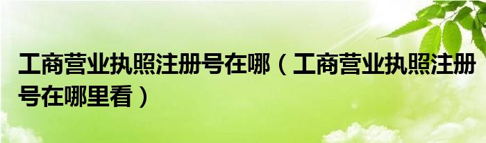 工商营业执照注册号在哪（工商营业执照注册号在哪里看）