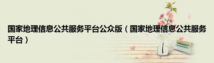 国家地理信息公共服务平台公众版（国家地理信息公共服务平台）