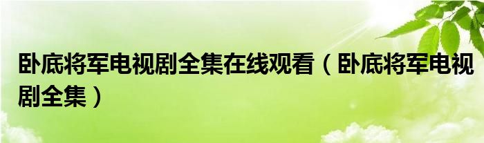 卧底将军电视剧全集在线观看（卧底将军电视剧全集）