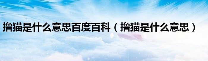 撸猫是什么意思百度百科（撸猫是什么意思）