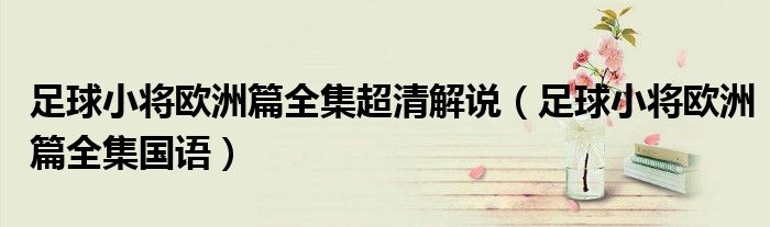 足球小将欧洲篇全集超清解说（足球小将欧洲篇全集国语）