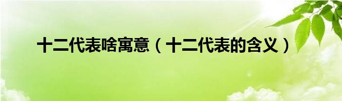 十二代表啥寓意（十二代表的含义）