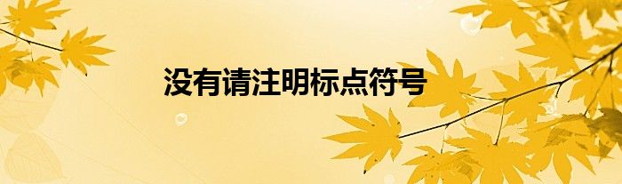 没有请注明标点符号