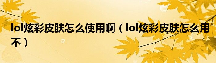 lol炫彩皮肤怎么使用啊（lol炫彩皮肤怎么用不）