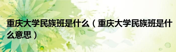 重庆大学民族班是什么（重庆大学民族班是什么意思）