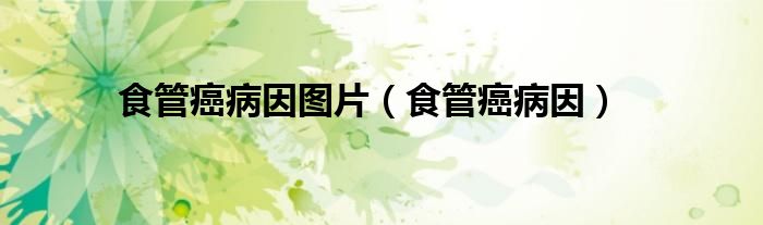 食管癌病因图片（食管癌病因）
