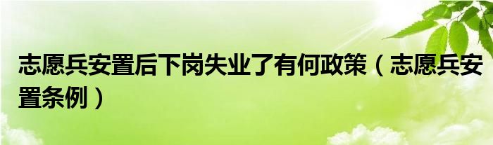 志愿兵安置后下岗失业了有何政策（志愿兵安置条例）