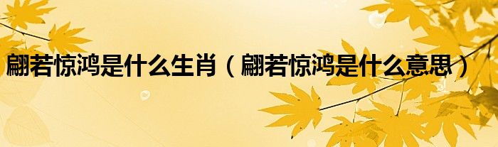 翩若惊鸿是什么生肖（翩若惊鸿是什么意思）