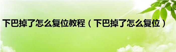 下巴掉了怎么复位教程（下巴掉了怎么复位）