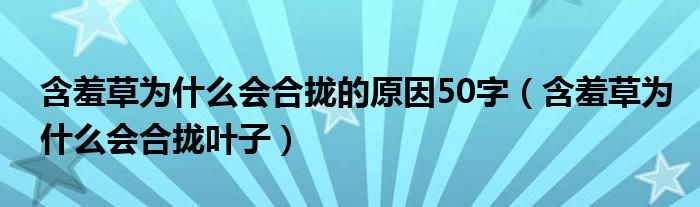 含羞草为什么会合拢的原因50字（含羞草为什么会合拢叶子）