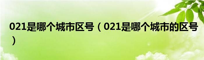 021是哪个城市区号（021是哪个城市的区号）