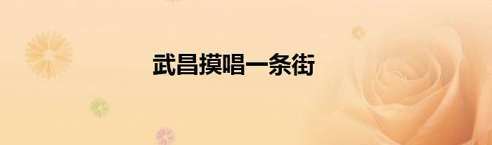 武昌摸唱一条街