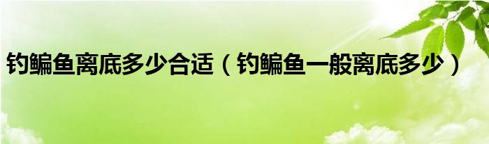 钓鳊鱼离底多少合适（钓鳊鱼一般离底多少）