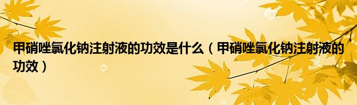 甲硝唑氯化钠注射液的功效是什么（甲硝唑氯化钠注射液的功效）