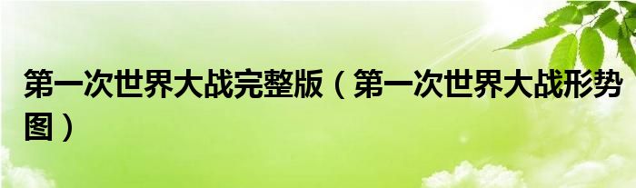 第一次世界大战完整版（第一次世界大战形势图）