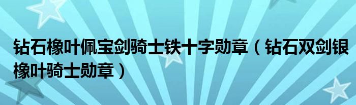 钻石橡叶佩宝剑骑士铁十字勋章（钻石双剑银橡叶骑士勋章）