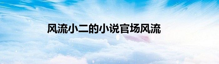 风流小二的小说官场风流