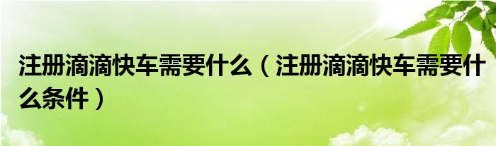 注册滴滴快车需要什么（注册滴滴快车需要什么条件）