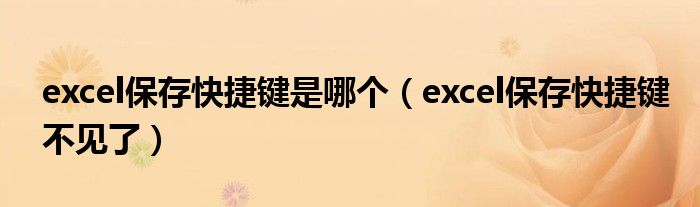 excel保存快捷键是哪个（excel保存快捷键不见了）