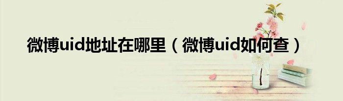 微博uid地址在哪里（微博uid如何查）