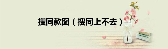 搜同款图（搜同上不去）