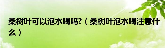 桑树叶可以泡水喝吗?（桑树叶泡水喝注意什么）