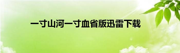 一寸山河一寸血省版迅雷下载
