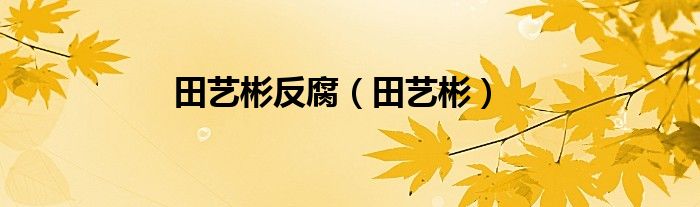 田艺彬反腐（田艺彬）