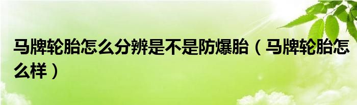 马牌轮胎怎么分辨是不是防爆胎（马牌轮胎怎么样）
