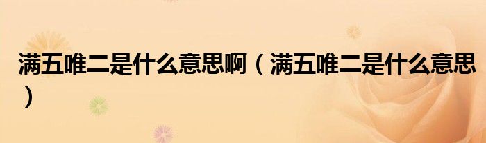 满五唯二是什么意思啊（满五唯二是什么意思）