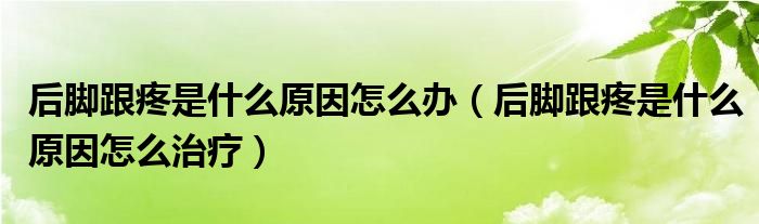 后脚跟疼是什么原因怎么办（后脚跟疼是什么原因怎么治疗）