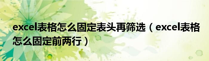 excel表格怎么固定表头再筛选（excel表格怎么固定前两行）