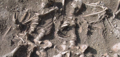 古代DNA表明维京人可能曾感染过天花