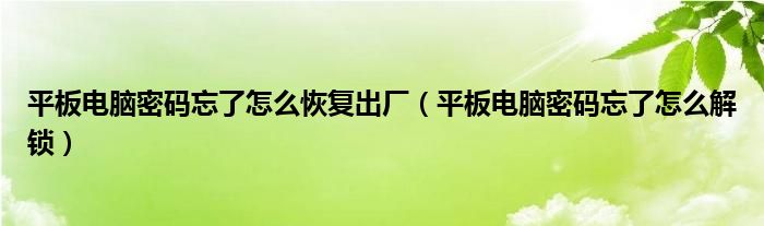 平板电脑密码忘了怎么恢复出厂（平板电脑密码忘了怎么解锁）