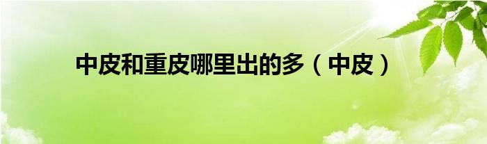 中皮和重皮哪里出的多（中皮）